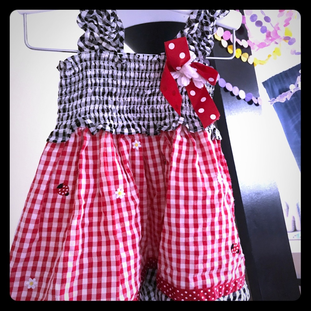 Lady bug dress